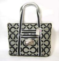 �R�[�`�@COACH