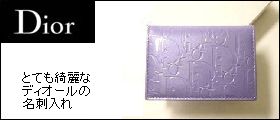 �ȤƤ����ʥ饤��å���Υ쥶�����̤�Dior�Υ���������