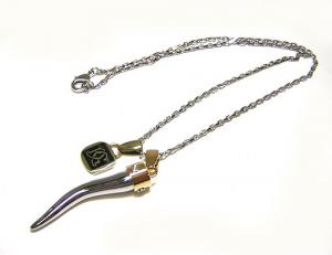 No.4 コルノ＆プレート　Wトップネックレス
