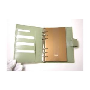 No.3 グッチシマ2009年システム手帳STANDARD（ライトグリーン）